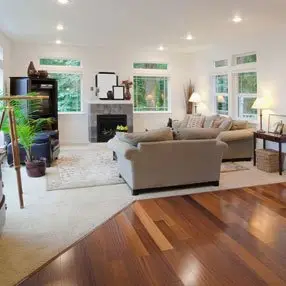 Living room extension with dark wooden floor and cream carpet